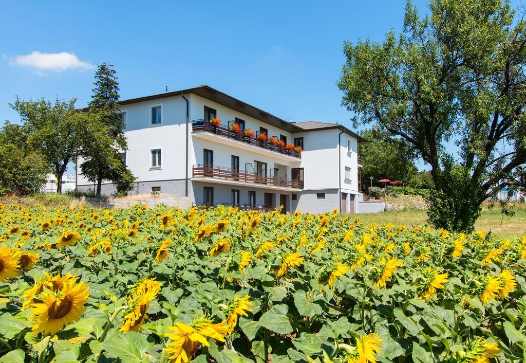 Gasthof-Pension Wein Брайтенбрунн Экстерьер фото